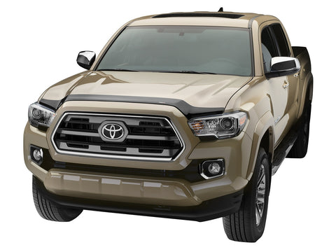 Low Profile Aerodynamic Hood Protector