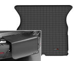 Cargo Liner W/Bumper Protector