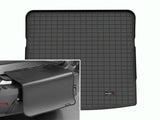 Cargo Liner W/Bumper Protector