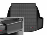 Cargo Liner W/Bumper Protector