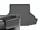 Cargo Liner W/Bumper Protector