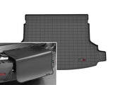 Cargo Liner W/Bumper Protector