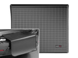 Cargo Liner W/Bumper Protector