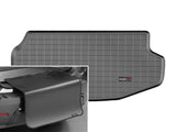 Cargo Liner W/Bumper Protector