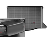 Cargo Liner W/Bumper Protector