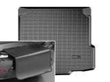 Cargo Liner W/Bumper Protector