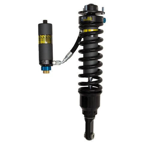 Bilstein Shock Absorbers
