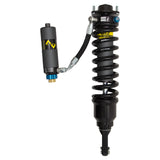 Bilstein Shock Absorbers