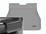 Cargo Liner W/Bumper Protector