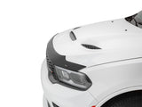 Low Profile Aerodynamic Hood Protector