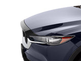 Low Profile Aerodynamic Hood Protector