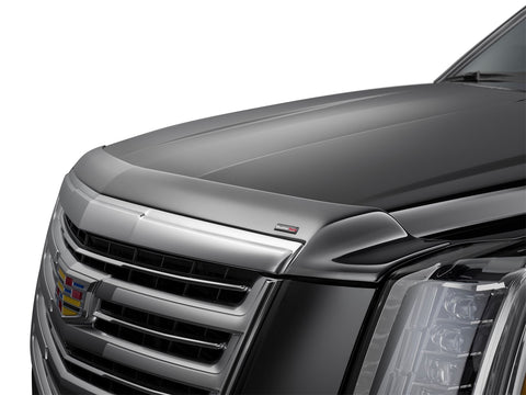 Low Profile Aerodynamic Hood Protector