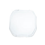 Squadron 2.0  Single Rock Guard  Clear