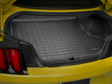 Cargo Liner