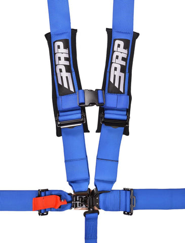 5.3 Harness  Blue