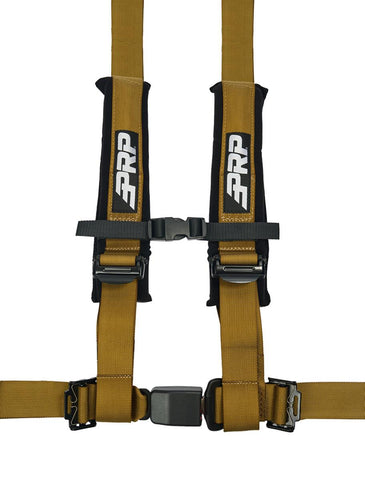 4.2 Harness  Gold