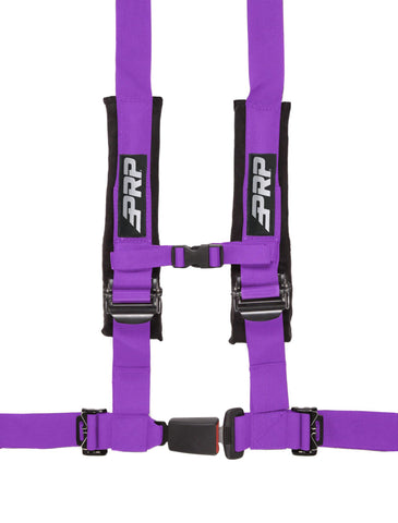 4.2 Harness  Purple