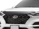 Low Profile Aerodynamic Hood Protector