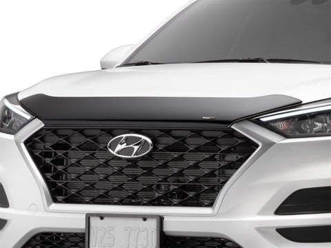 Low Profile Aerodynamic Hood Protector