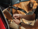 Pet Travel Safe Harness