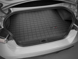 Cargo Liner