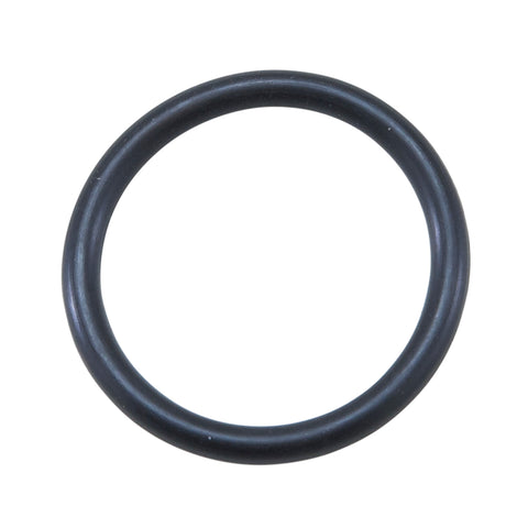 Axle O-Ring For 8" Chrysler IFS.