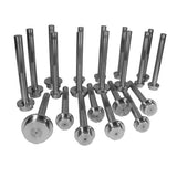 Yukon Bearing Race Driver Set 21 Pieces