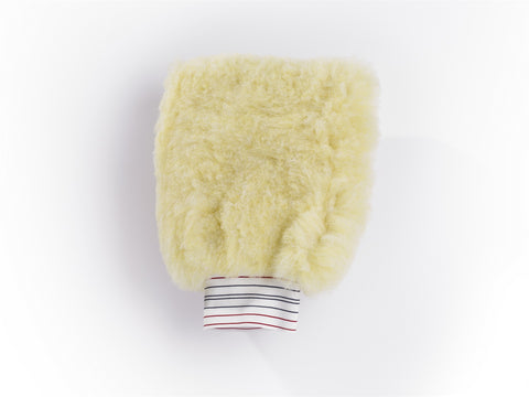 Wash Mitt
