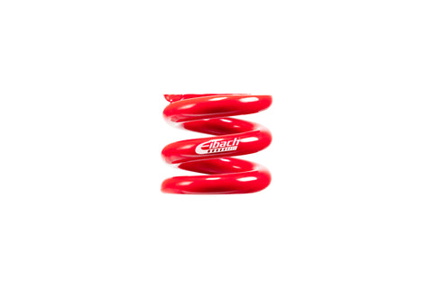 ERS Motorsport Spring
