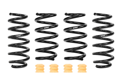 Pro-Kit Lowering Springs