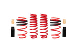 Sportline Lowering Springs