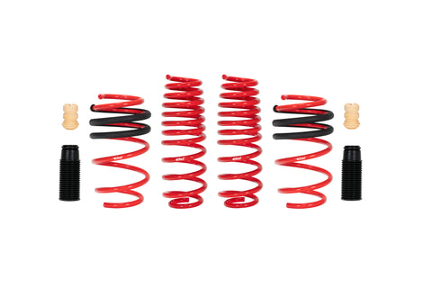 Sportline Lowering Springs