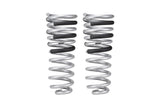 Pro-Lift Springs