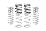 Pro-Lift Springs