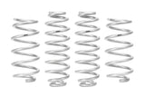 Pro-Lift Springs
