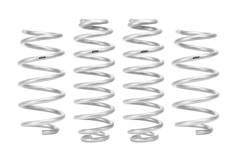 Pro-Lift Springs