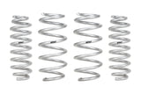 Pro-Lift Springs