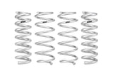 Pro-Lift Springs