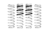 Pro-Lift Springs