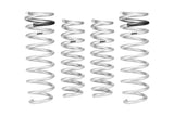 Pro-Lift Springs