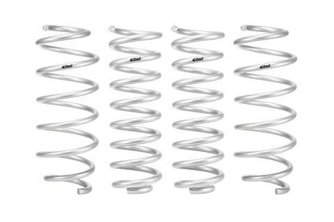 Pro-Lift Springs