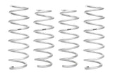 Pro-Lift Springs