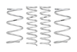 Pro-Lift Springs