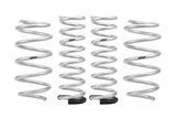 Pro-Lift Springs