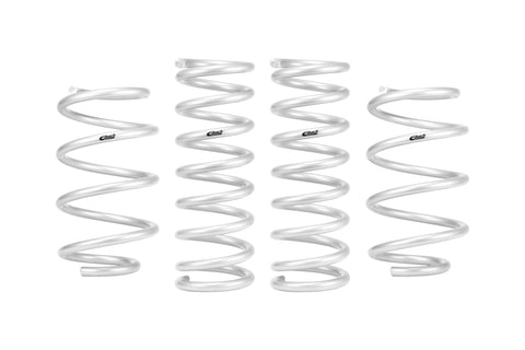 Pro-Lift Springs