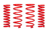 Pro-Lift Springs