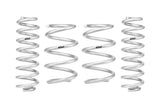 Pro-Lift Springs