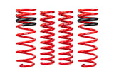 Pro-Lift Springs