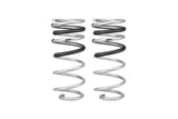 Pro-Lift Springs