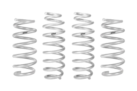 Pro-Lift Springs